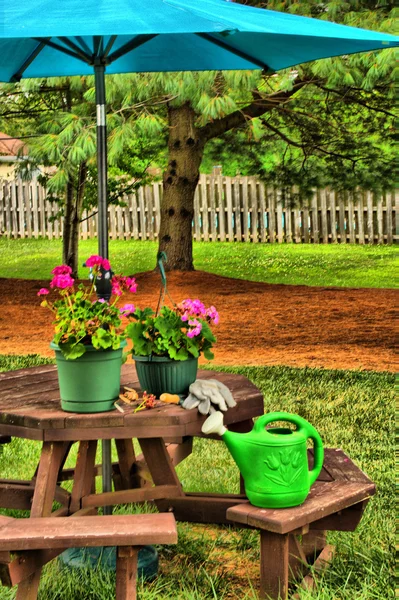 Trädgårdsredskap — Stockfoto