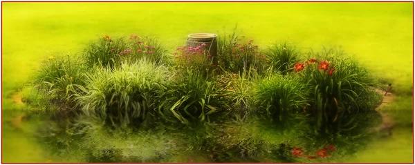 Flowers on the bank of a pond — Stock Photo, Image