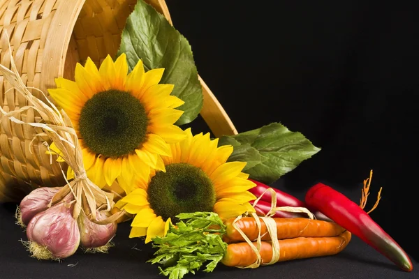 Country basket filled with sunflowers and veggies — Stock Photo, Image