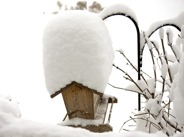 stock image After the Snow Storm