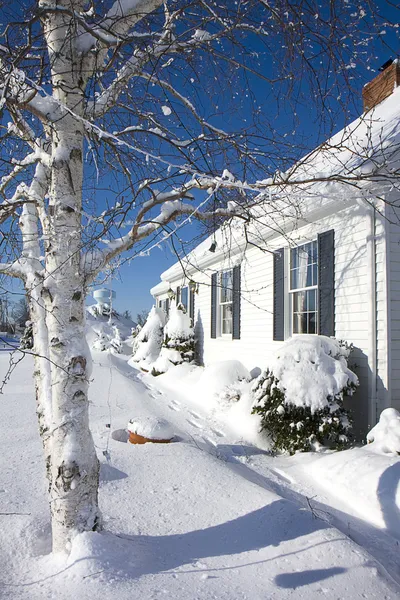 Winter wonderland obrazu — Zdjęcie stockowe
