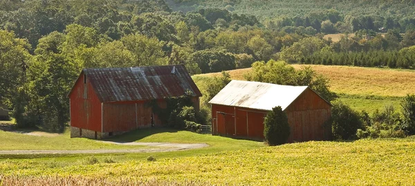 Ферма в стране — стоковое фото