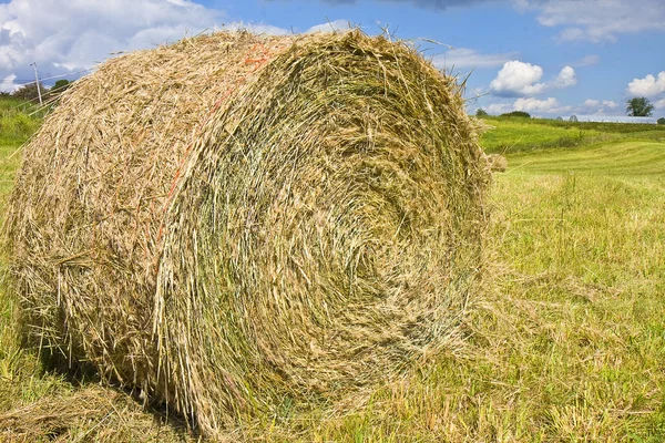 stock image Huge Roll of Hay/Wheat in Country