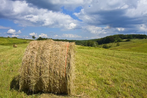 stock image Scenic Harvesting of Hay