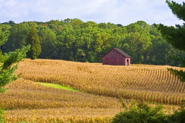 Land syn på gård i avstånd — Stockfoto