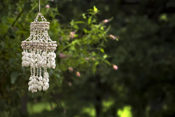 Sea Shell Wind Chimes Outdoor — Stock Photo, Image