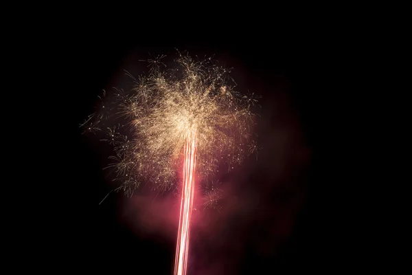 Fuochi d'artificio tarassaco — Foto Stock