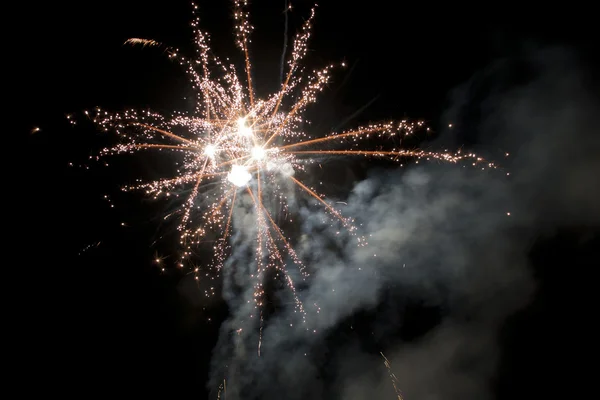 stock image Spider fireworks