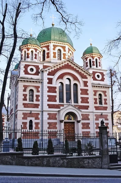 Kathedraal in lvov — Stockfoto