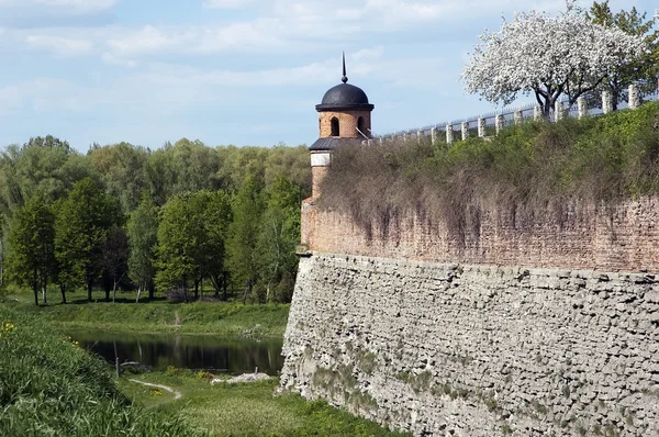 Château de Dubno — Photo