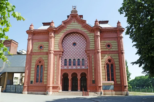Sinagoge Uzhhorod — Stok Foto