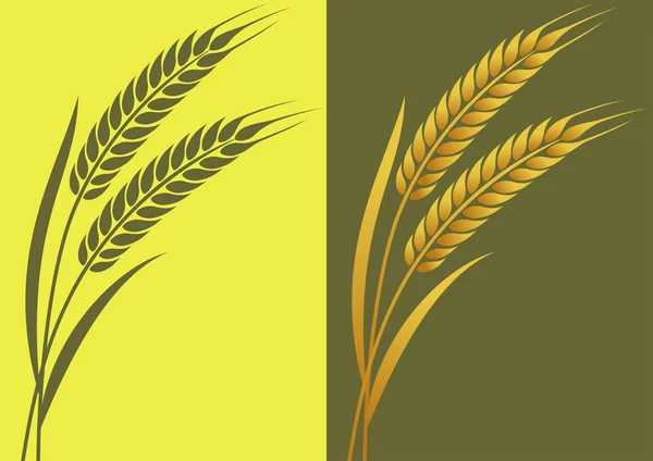 小麦 — ストックベクタ