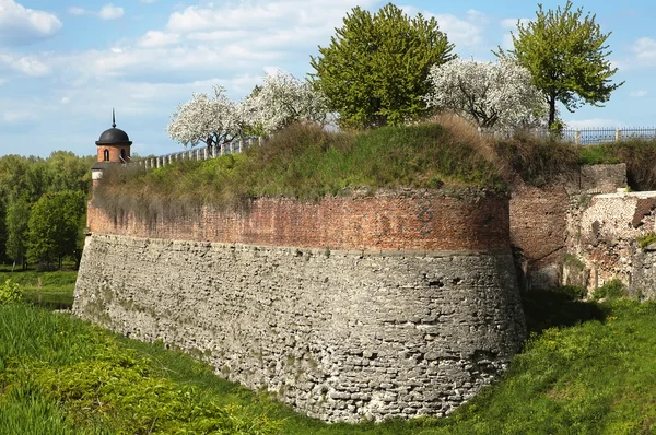 Zamek w Dubnie — Zdjęcie stockowe