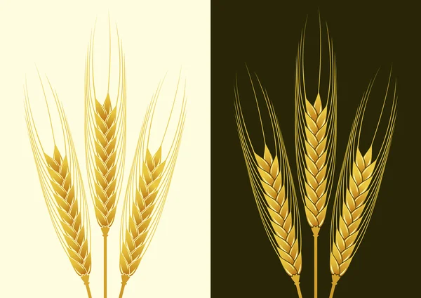 小麦 — 图库矢量图片