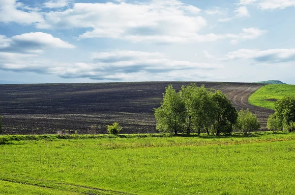 Beautiful landscape - plowed field — Stock Photo, Image