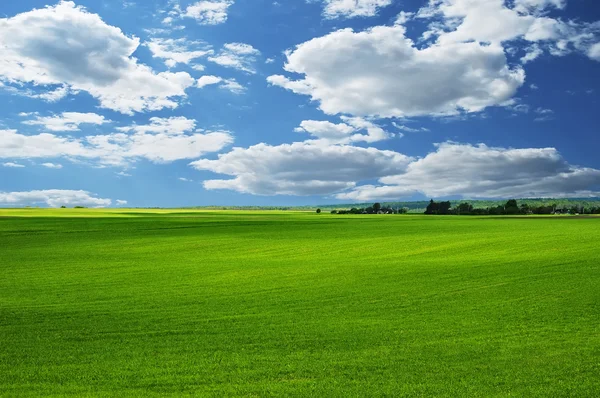 Пейзаж - небо и трава — стоковое фото