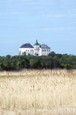 Olesko castle clipart