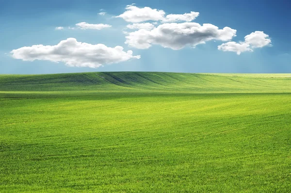 Krajina - sky a trávy — Stock fotografie