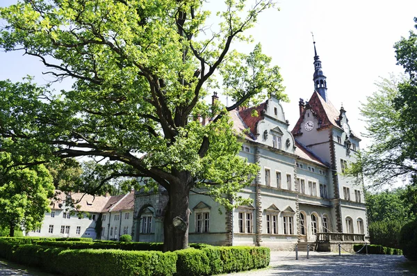 Schonborn palace i chynadiyovo — Stockfoto