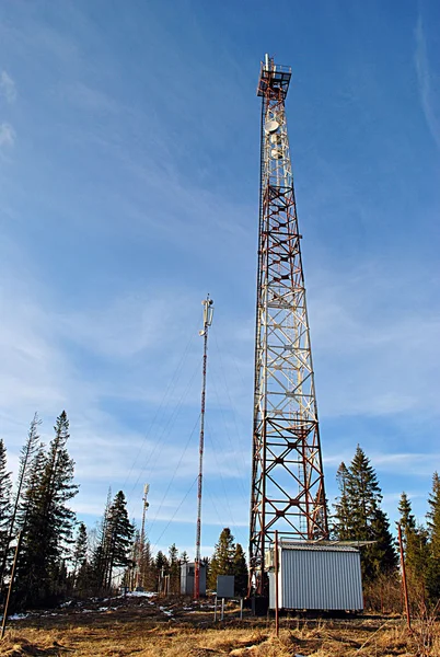 Repeater tower among pine wood