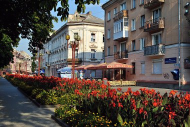 Flowerbeds on Sagaidachnyi str in the center of Ternopil clipart