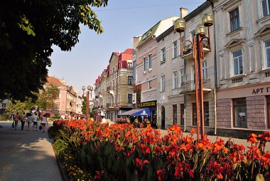 Sagaidachnyi str in the center of Ternopil clipart