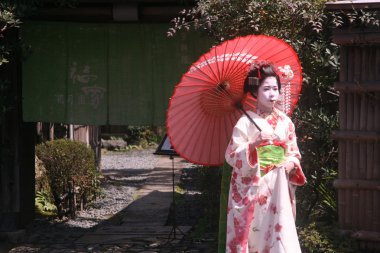 Maiko and geisha, Kagoshima City clipart