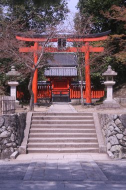 Torii Gate and sakura clipart