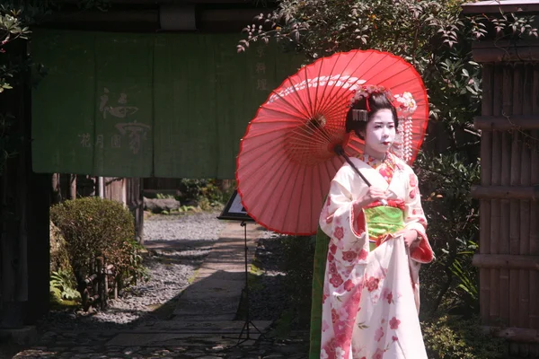 stock image Maiko and geisha, Kagoshima City