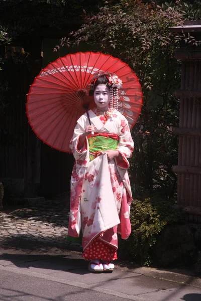 Maiko and geisha, Kagoshima City — Stock Photo, Image