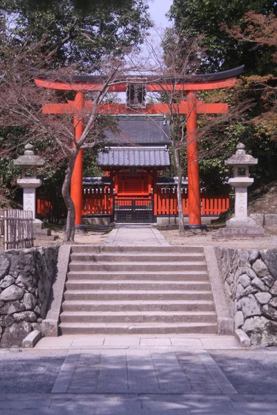 Porta de Torii e sakura — Fotografia de Stock