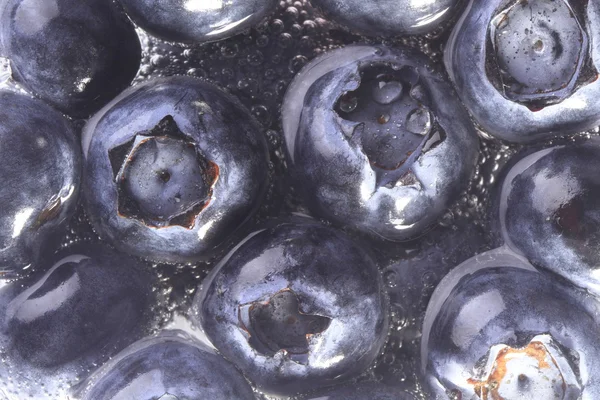 Blueberry on soda bubbles — Stock Photo, Image