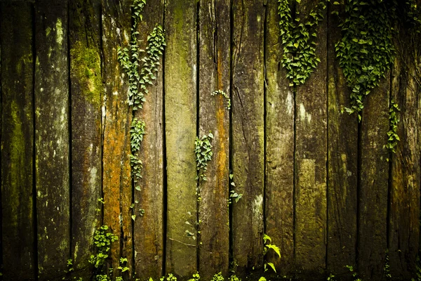 Oude grunge houtstructuur met bladeren — Stockfoto