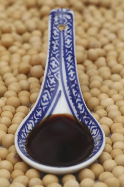 Sojasauce mit Sojabohnen — Stockfoto