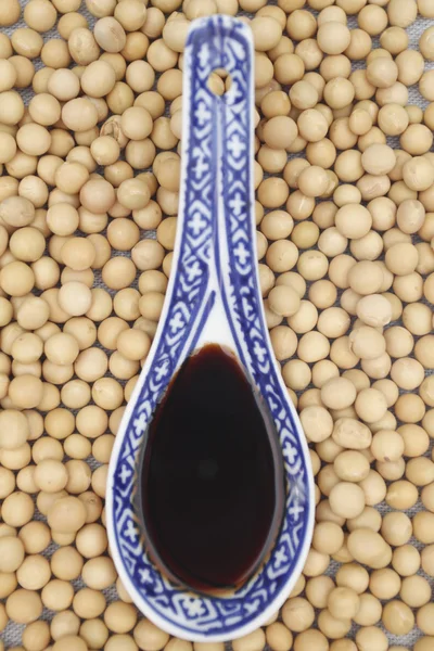 Soijakastike soijapapujen kanssa — kuvapankkivalokuva