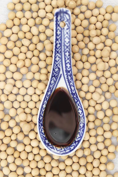 Sojová omáčka s sojové boby — Stock fotografie