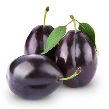 Plums clipart