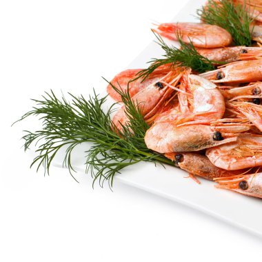 Shrimp clipart