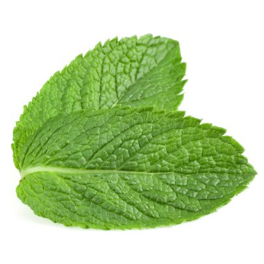 Fresh mint leaves clipart