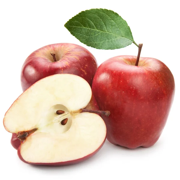 Reife Apfelfrüchte — Stockfoto