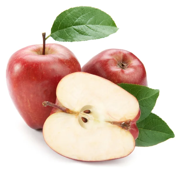 Mogen apple frukt — Stockfoto