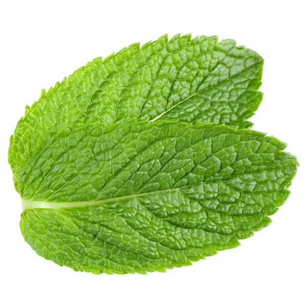 stock image Fresh mint leaves