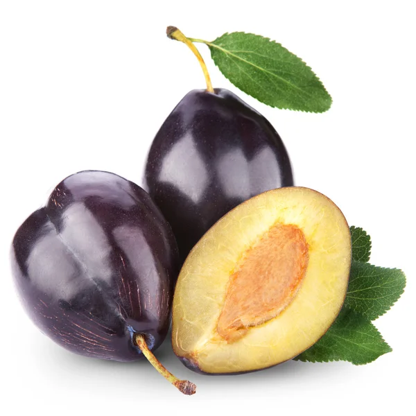 Plums Stock Image