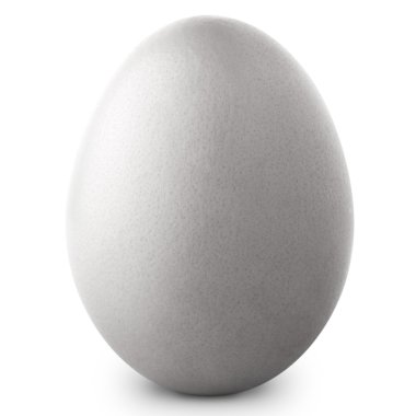 White egg clipart