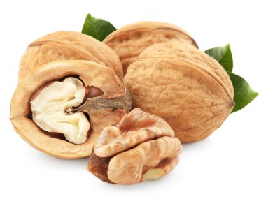 Walnut isolated clipart