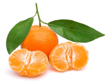 Tangerine clipart