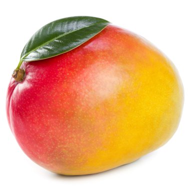 Mango meyve