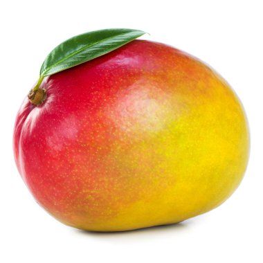 Mango meyve