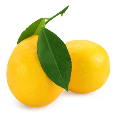 taze limon narenciyesi