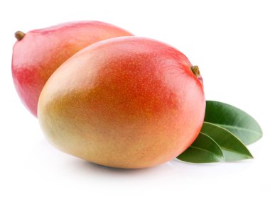 Mango meyve